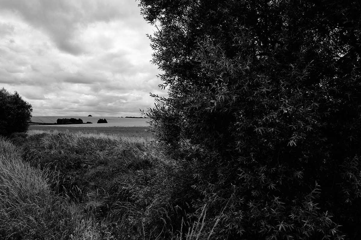 Toward Silbury Hill 5 image